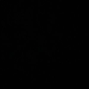 Meet your Posher, Zaneyah